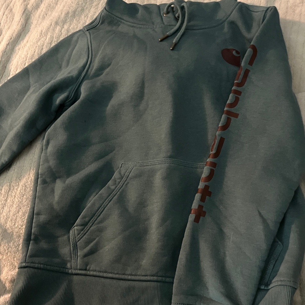 Carhartt Relaxed Fit Hoodie in Gray